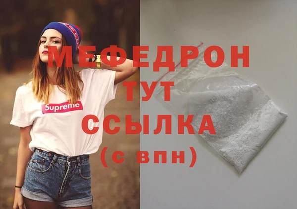 индика Гусев