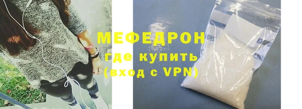 индика Гусев