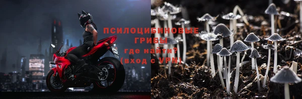 крисы Гусиноозёрск