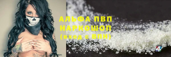 индика Гусев