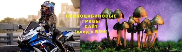крисы Гусиноозёрск