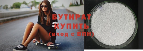 индика Гусев