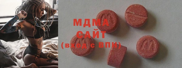 индика Гусев
