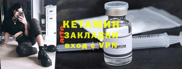 индика Гусев