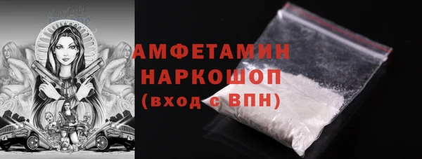 гидра Гусь-Хрустальный