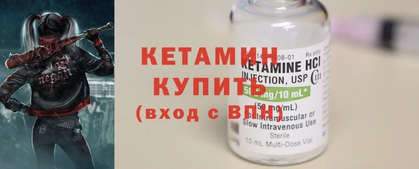 индика Гусев