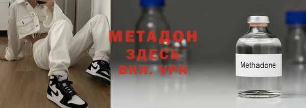 индика Гусев