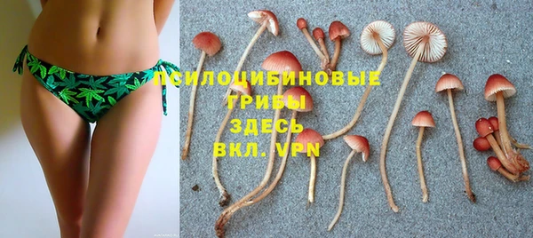 крисы Гусиноозёрск