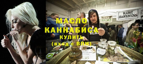 индика Гусев
