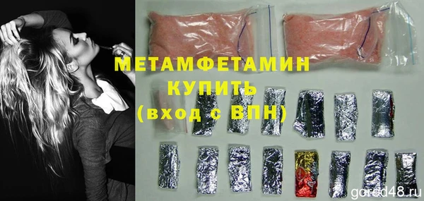 индика Гусев