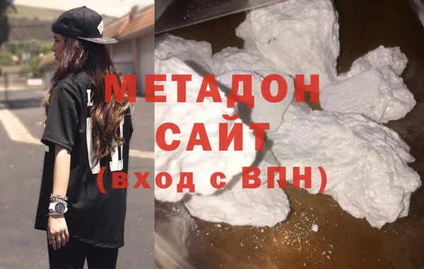 индика Гусев