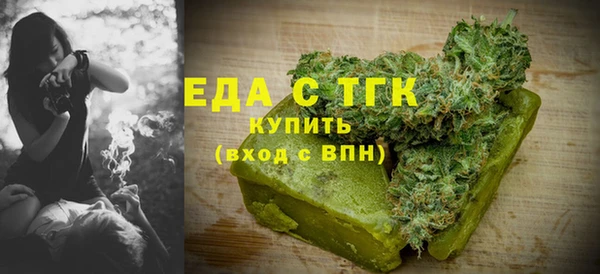 индика Гусев