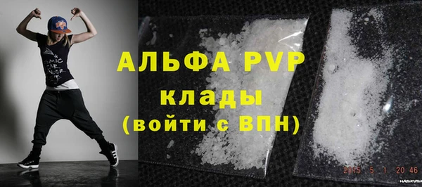 индика Гусев