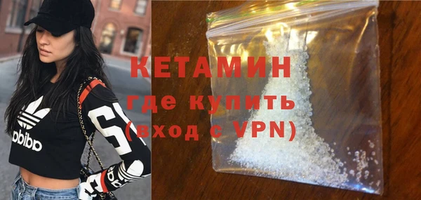индика Гусев