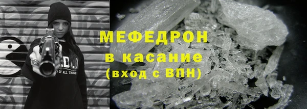 индика Гусев