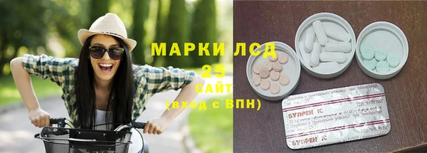 гидра Гусь-Хрустальный